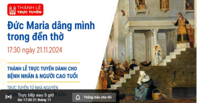 Thánh Lễ trực tuyến dành cho bệnh nhân, người cao tuổi * Lễ Đức Mẹ Dâng Mình trong Đền Thờ