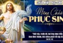 Thiếu Nhi Sống Lời Chúa tuần Chúa Nhật Phục Sinh năm C 20/04/2025