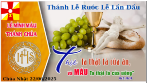 CHÚA NHẬT XII THƯỜNG NIÊN–LỄ MÌNH VÀ MÁU THÁNH CHÚA KITÔ-THÁNH LỄ RƯỚC LỄ LÂN ĐẦU vào lúc 9h ngày 22/06/2025