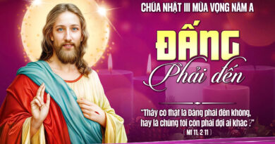 Thánh Lễ trực tuyến dành cho bệnh nhân, người cao tuổi và suy niệm Lời Chúa, Chúa Nhật tuần 3 Mùa Vọng năm A 14/12/2025. Thánh Lễ trực tuyến dành cho bệnh nhân, người cao tuổi và suy niệm Lời Chúa, Chúa Nhật tuần 3 Mùa Vọng năm A 14/12/2025.