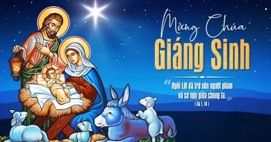 Thánh Lễ trực tuyến dành cho bệnh nhân, người cao tuổi và suy niệm Lời Chúa, Mừng Chúa Giáng Sinh năm A  25/12/2025.