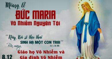 Mừng Kính Trọng Thể Lễ Đức Mẹ Vô Nhiễm Nguyên Tội 08/12/2025 Bổn mạng Giáo Họ Vô Nhiễm và Gia Đình Vô Nhiễm