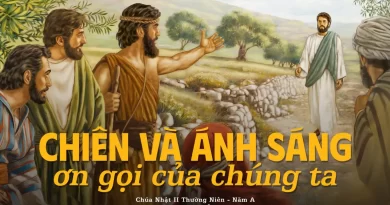 Thánh Lễ trực tuyến dành cho bệnh nhân, người cao tuổi và suy niệm Lời Chúa, tuần lễ Chúa Nhật thứ 2 Thường niên năm A  18/01/2026.