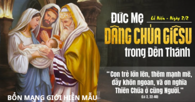 Lễ Dâng Chúa Giêsu trong Đền Thờ 02/02/2026 Bổn mạng Giới Hiền Mẫu