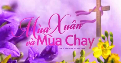 Thánh Lễ trực tuyến dành cho những ngườI không thể đến nhà thờ và suy niệm Lời Chúa: tuần lễ  Tết Bính Ngọ, Lễ Tro và Chúa Nhật thứ 6 Thường niên năm A 15/02/2026.