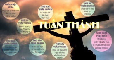 Thánh Lễ trực tuyến dành cho những ngườI không thể đến nhà thờ và suy niệm Lời Chúa Chúa Nhật Lễ Lá và Tuần Thánh năm A 29/03/2026. Thánh Lễ trực tuyến dành cho những ngườI không thể đến nhà thờ và suy niệm Lời Chúa Chúa Nhật Lễ Lá và Tuần Thánh năm A 29/03/2026.