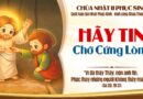 Thiếu Nhi Sống Lời Chúa tuần Chúa nhật thứ 2 Phục Sinh năm A 12/04/2026.