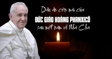 Giáo xứ Ngọc Lâm tưởng nhớ một năm ngày giỗ Đức Thánh Cha Phanxico