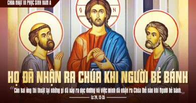 Thánh Lễ trực tuyến dành cho những ngườI không thể đến nhà thờ và suy niệm Lời Chúa, tuần Chúa nhật thứ 3 Phục Sinh  năm A 19/04/2026.