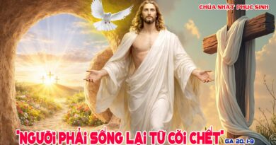 Thánh Lễ trực tuyến dành cho những ngườI không thể đến nhà thờ và suy niệm Lời Chúa, Chúa nhật Phục Sinh Mừng Chúa Sống Lại năm A  05/04/2026.