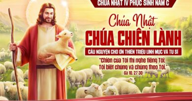 Thánh Lễ trực tuyến dành cho những ngườI không thể đến nhà thờ và suy niệm Lời Chúa, tuần Chúa nhật thứ 4 mùa Phục Sinh  năm A Chúa Chiên Lành 26/04/2026.