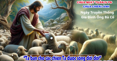 Chúa Nhật IV Phục Sinh Chúa Chiên Lành cầu cho ơn gọi Linh Mục và Tu Sỹ 26.04.2026 Ngày Truyền Thống Gia Đình Ông Bà Cố