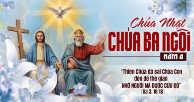 Thánh Lễ trực tuyến dành cho những ngườI không thể đến nhà thờ và suy niệm Lời Chúa, Chúa Nhật Chúa Ba Ngôi và Tuần thứ 9 Mùa Thường Niên năm A 31/05/2026. Thánh Lễ trực tuyến dành cho những ngườI không thể đến nhà thờ và suy niệm Lời Chúa, Chúa Nhật Chúa Ba Ngôi và Tuần thứ 9 Mùa Thường Niên năm A 31/05/2026.