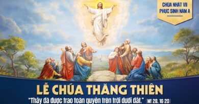 Thánh Lễ trực tuyến dành cho những ngườI không thể đến nhà thờ và suy niệm Lời Chúa, tuần Chúa nhật thứ 7 Thường niên năm A Chúa Thăng Thiên 17/05/2026.