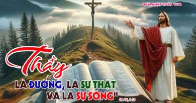 Thánh Lễ trực tuyến dành cho những ngườI không thể đến nhà thờ và suy niệm Lời Chúa, tuần Chúa nhật thứ 5 mùa Phục Sinh  năm A 03/05/2026