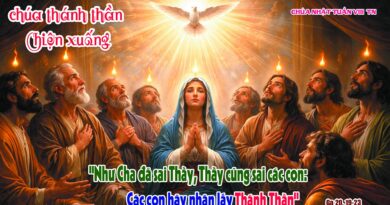 Thánh Lễ trực tuyến dành cho những ngườI không thể đến nhà thờ và suy niệm Lời Chúa, Chúa Nhật Chúa Thánh Thần Hiện Xuống và Tuần thứ 8 Mùa Thường Niên năm A 24/05/2026. Thánh Lễ trực tuyến dành cho những ngườI không thể đến nhà thờ và suy niệm Lời Chúa, Chúa Nhật Chúa Thánh Thần Hiện Xuống và Tuần thứ 8 Mùa Thường Niên năm A 24/05/2026.