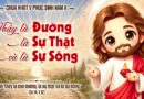 Thiếu Nhi Sống Lời Chúa, tuần Chúa nhật thứ 5 mùa Phục Sinh  năm A 03/05/2026.