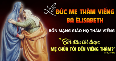 Mừng Kính Đức Mẹ Maria Đi Thăm Viếng Bà Thánh Isave 31/05/2026 Bổn mạng Giáo họ Thăm Viếng