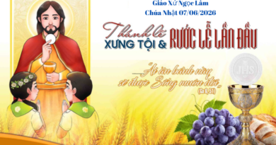 Chúc Mừng Các Em Xưng Tội Rước Lễ Lần Đầu 07/06/2026 Chúa Nhật Mình và Máu Thánh Chúa Kitô