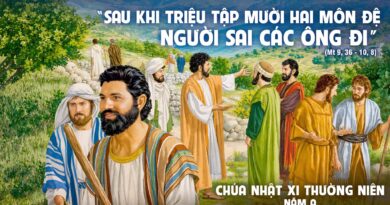 Thánh Lễ trực tuyến dành cho những ngườI không thể đến nhà thờ và suy niệm Lời Chúa, Chúa Nhật tuần thứ 11 mùa thường niên năm A 14/06/2026.