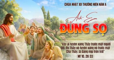 Thánh Lễ trực tuyến dành cho những ngườI không thể đến nhà thờ và suy niệm Lời Chúa Chúa Nhật tuần thứ 12 mùa thường niên năm A 21/06/2026. Thánh Lễ trực tuyến dành cho những ngườI không thể đến nhà thờ và suy niệm Lời Chúa Chúa Nhật tuần thứ 12 mùa thường niên năm A 21/06/2026.