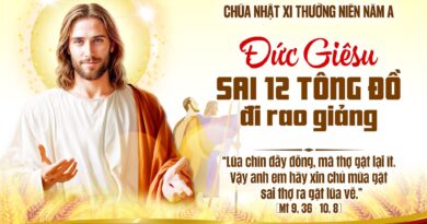 Thánh Lễ trực tuyến dành cho những ngườI không thể đến nhà thờ và suy niệm Lời Chúa, Chúa Nhật tuần thứ 11 mùa thường niên năm A 14/06/2026. Thánh Lễ trực tuyến dành cho những ngườI không thể đến nhà thờ và suy niệm Lời Chúa, Chúa Nhật tuần thứ 11 mùa thường niên năm A 14/06/2026.