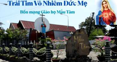Mừng Kính Trái Tim Vô Nhiễm Đức Mẹ thứ bảy 13/06/2026 Bổn mạng Giáo họ Mẫu Tâm