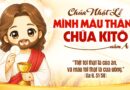 Thiếu Nhi Sống Lời Chúa, Chúa Nhật Mình và Máu Thánh Chúa Kitô năm A 07/06/2026.