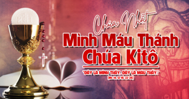 Thánh Lễ trực tuyến dành cho những ngườI không thể đến nhà thờ, cùng suy niệm Lời Chúa, Chúa Nhật  Mình Máu Thánh Chúa Kitô và tuần thứ 10 Mùa Thường Niên năm A 07/06/2026.
