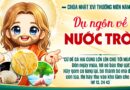 Thiếu Nhi Sống Lời Chúa, Chúa Nhật tuần thứ 16 mùa thường niên năm A 19/07/2026. Thiếu Nhi Sống Lời Chúa, Chúa Nhật tuần thứ 16 mùa thường niên năm A 19/07/2026.