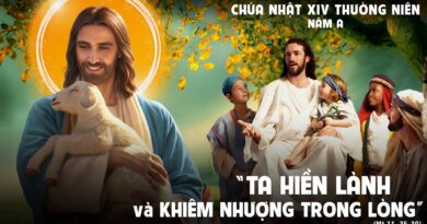 Thánh Lễ trực tuyến dành cho những ngườI không thể đến nhà thờ và suy niệm Lời Chúa tuần thứ 14 mùa thường niên năm A 05/07/2026.