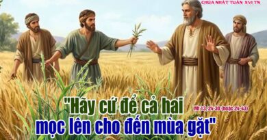 Thánh Lễ trực tuyến dành cho những ngườI không thể đến nhà thờ và suy niệm Lời Chúa tuần thứ 16 mùa thường niên năm A 19/07/2026. Thánh Lễ trực tuyến dành cho những ngườI không thể đến nhà thờ và suy niệm Lời Chúa tuần thứ 16 mùa thường niên năm A 19/07/2026.