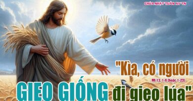 Thánh Lễ trực tuyến dành cho những ngườI không thể đến nhà thờ và suy niệm Lời Chúa tuần thứ 15 mùa thường niên năm A 12/07/2026. Thánh Lễ trực tuyến dành cho những ngườI không thể đến nhà thờ và suy niệm Lời Chúa tuần thứ 15 mùa thường niên năm A 12/07/2026.