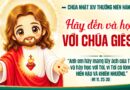 Thiếu Nhi Sống Lời Chúa, Chúa Nhật tuần thứ 14 mùa thường niên năm A 05/07/2026.