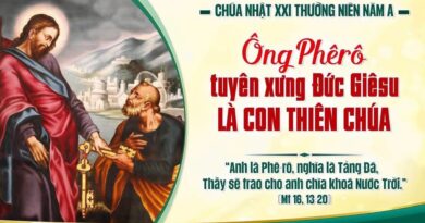 Thánh Lễ trực tuyến dành cho những ngườI không thể đến nhà thờ và suy niệm Lời Chúa tuần thứ 21 mùa thường niên năm A 23/08/2026.