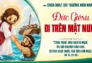 Thiếu Nhi Sống Lời Chúa, Chúa Nhật tuần thứ 19 mùa thường niên năm A 09/08/2026.