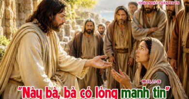Thánh Lễ trực tuyến dành cho những ngườI không thể đến nhà thờ và suy niệm Lời Chúa tuần thứ 20 mùa thường niên năm A 16/08/2026.