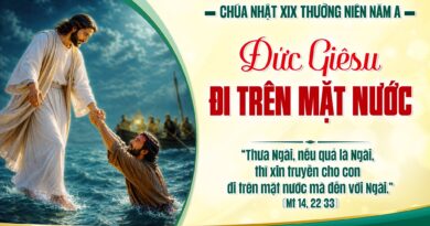 Thánh Lễ trực tuyến dành cho những ngườI không thể đến nhà thờ và suy niệm Lời Chúa tuần thứ 19 mùa thường niên năm A 09/08/2026.