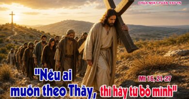 Thánh Lễ trực tuyến dành cho những ngườI không thể đến nhà thờ và suy niệm Lời Chúa tuần thứ 22 mùa thường niên năm A 30/08/2026.