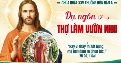 Thánh Lễ trực tuyến dành cho những ngườI không thể đến nhà thờ và suy niệm Lời Chúa tuần thứ 25 mùa thường niên năm A 20/09/2026. Thánh Lễ trực tuyến dành cho những ngườI không thể đến nhà thờ và suy niệm Lời Chúa tuần thứ 25 mùa thường niên năm A 20/09/2026.