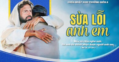 Thánh Lễ trực tuyến dành cho những ngườI không thể đến nhà thờ và suy niệm Lời Chúa tuần thứ 23 mùa thường niên năm A 06/09/2026.