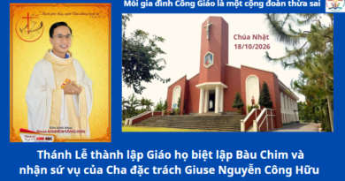 THÁNH LỄ CÔNG BỐ THÀNH LẬP GIÁO HỌ BIỆT LẬP BÀU CHIM, GIÁO XỨ NGỌC LÂM