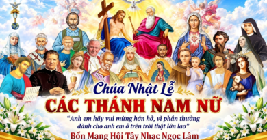 Thánh Lễ Mừng Kính Các Thánh Nam Nữ trực tuyến dành cho những ngườI không thể đến nhà thờ và suy niệm Lời Chúa tuần thứ 31 mùa thường niên năm A 01/11/2026. Thánh Lễ Mừng Kính Các Thánh Nam Nữ trực tuyến dành cho những ngườI không thể đến nhà thờ và suy niệm Lời Chúa tuần thứ 31 mùa thường niên năm A 01/11/2026.