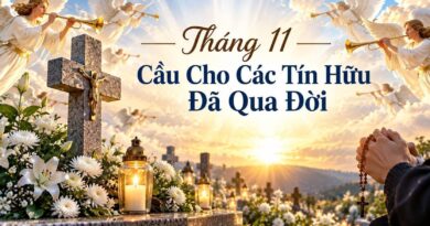 LỊCH PHỤNG VỤ GIÁO XỨ THÁNG 11/2026