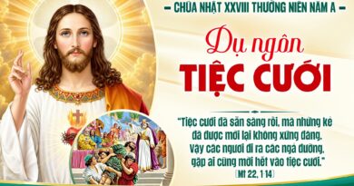 Thánh Lễ trực tuyến dành cho những ngườI không thể đến nhà thờ và suy niệm Lời Chúa tuần thứ 28 mùa thường niên năm A 11/10/2026.