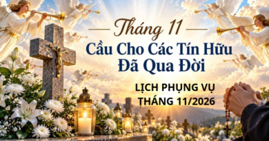 LỊCH PHỤNG VỤ GIÁO XỨ THÁNG 11/2026